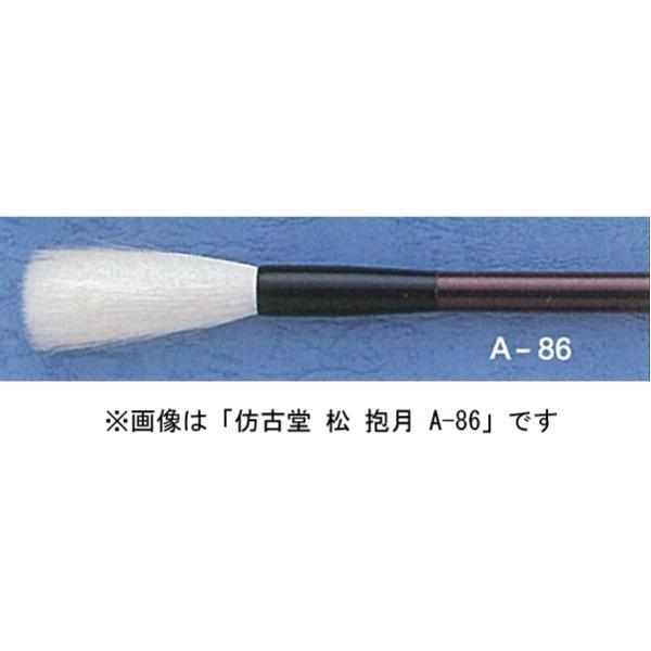 قÓ A-87  ~ ip r Ve͂ 擧
