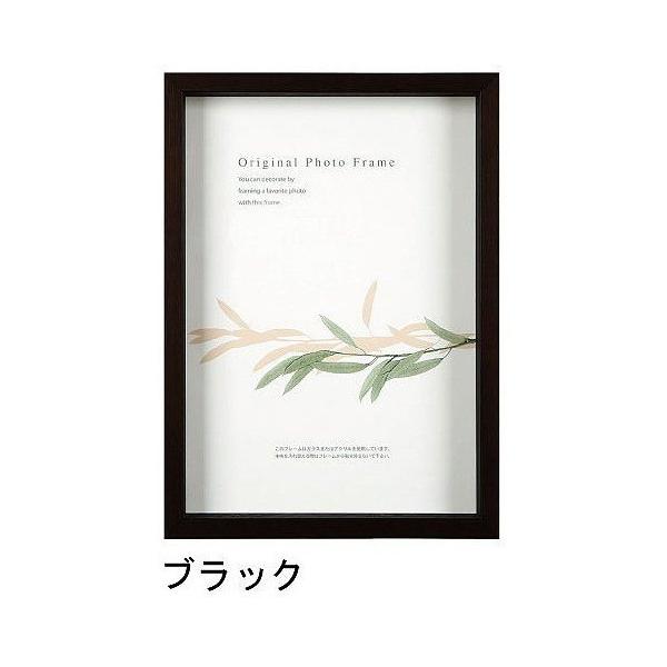 A[g{bNXt[(35mm) ubN 30pTCY (300×300mm)  APJ A[gvgWp