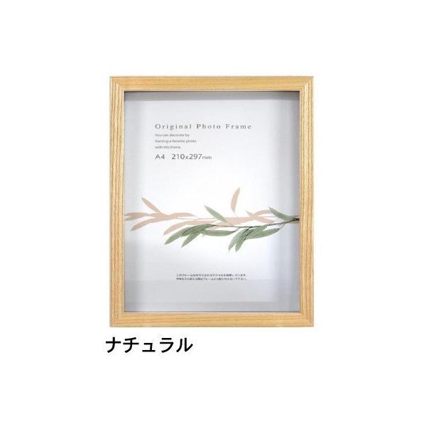 O[m{bNXt[ i` C`TCY (203×255mm)  APJ A[gvgWp