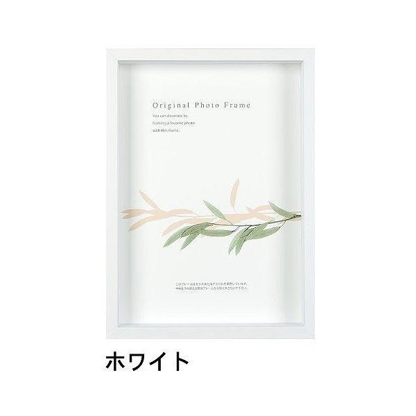 A[g{bNXt[(35mm) zCg C`TCY (203×255mm)  APJ A[gvgWp