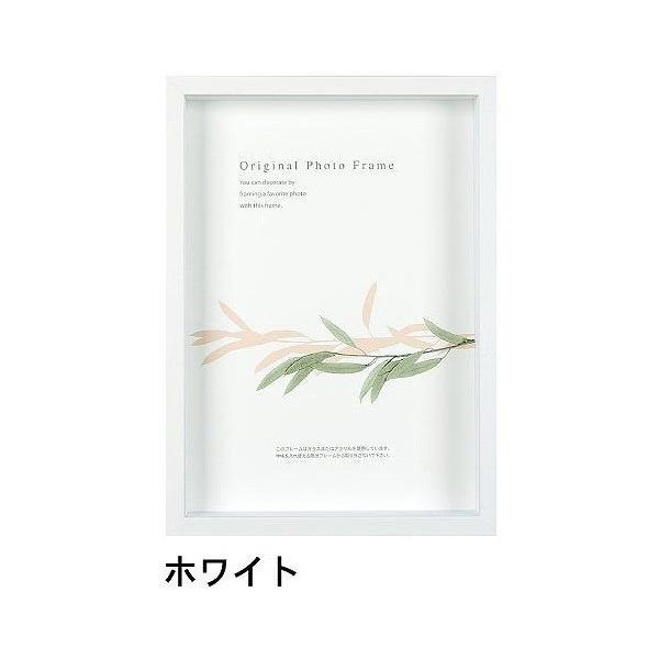 A[g{bNXt[(35mm) zCg B4TCY (257×364mm)  APJ A[gvgWp