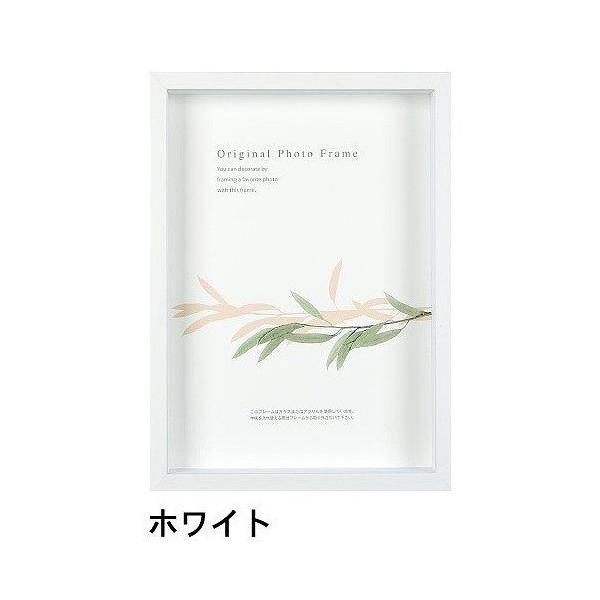 A[g{bNXt[(35mm) zCg B5TCY (182×257mm)  APJ A[gvgWp