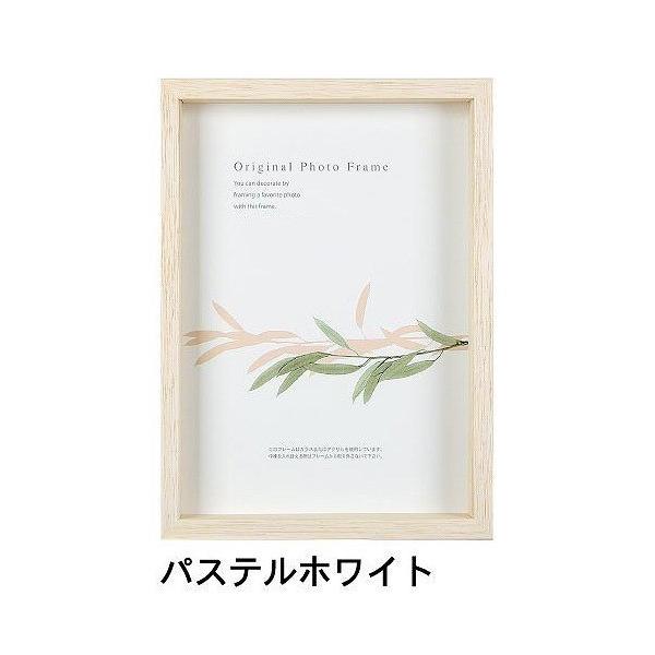 A[g{bNXt[(35mm) pXezCg 20pTCY (200×200mm)  APJ A[gvgWp