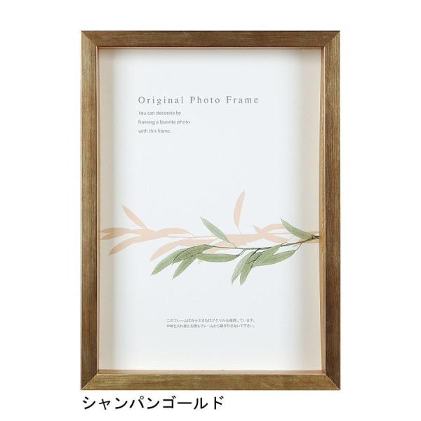 A[g{bNXt[(35mm) VpS[h qTCY (288×379mm)  APJ A[gvgWp