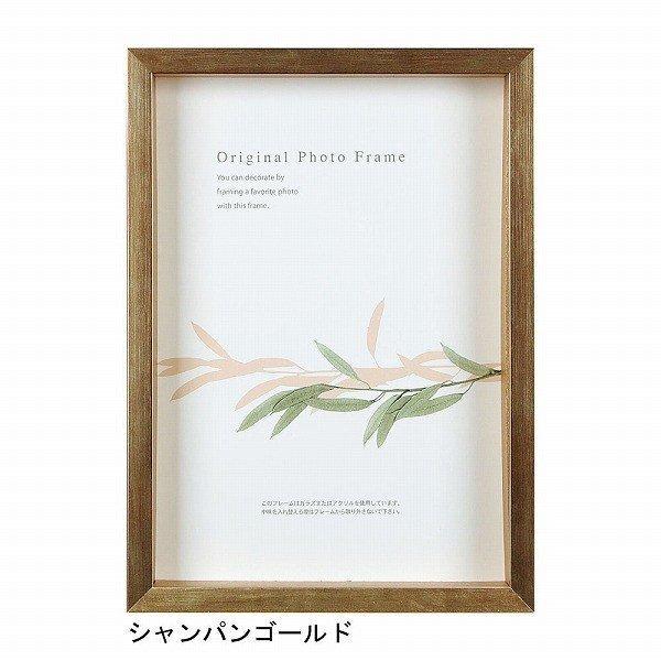 A[g{bNXt[(35mm) VpS[h B5TCY (182×257mm)  APJ A[gvgWp