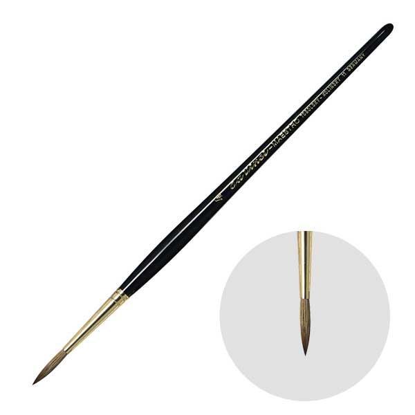 �_���B���`��M 11-4�� ���E���h(��) ���ʕM �R�����X�L�[�� MAESTRO (202028)