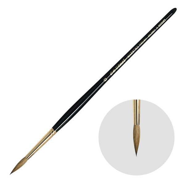 �_���B���`��M 11-6�� ���E���h(��) ���ʕM �R�����X�L�[�� MAESTRO (202030)