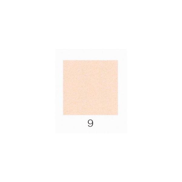 iJKӕG VR@WX薖 20g  9  i07230