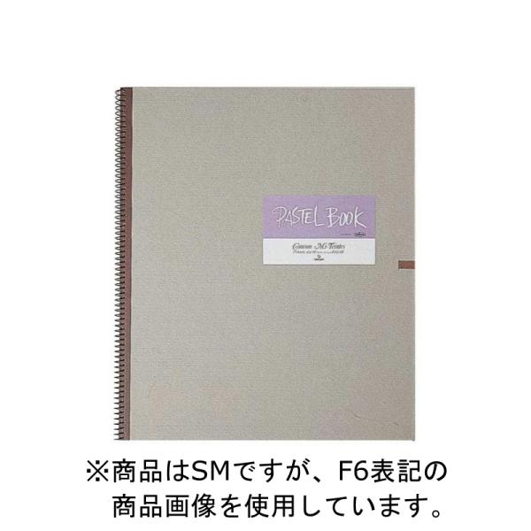 5���Z�b�g �p�X�e���u�b�N PAS-SM (270301) �z���x�C�� HOLBEIN �z���x�C�� HOLBEIN