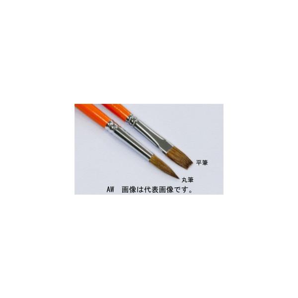 听 AW0 (81102001) ʉM