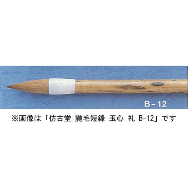 قÓ B-10 ꌖђZN ʐS m E C^`уV[Y