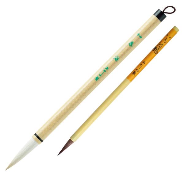  M{gi4tC{͕j ALS-100  pM ʁE