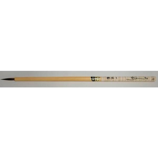 x וM C^`тȗp ꍆ 悵̐