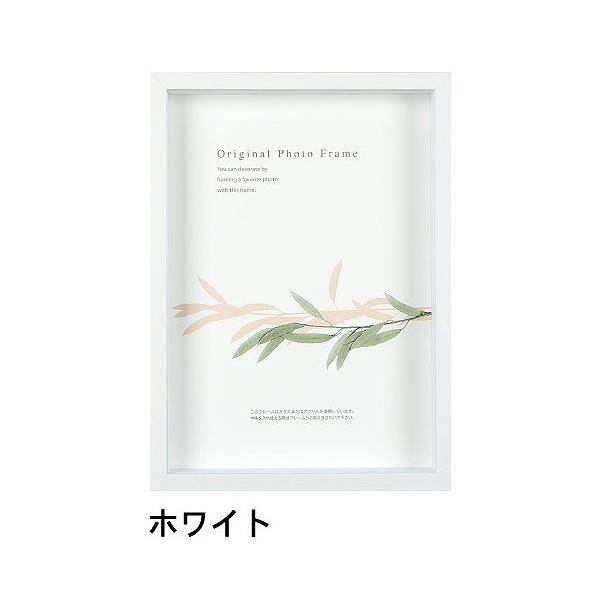 A[g{bNXt[(35mm) zCg B5TCY (182×257mm)  APJ A[gvgWp