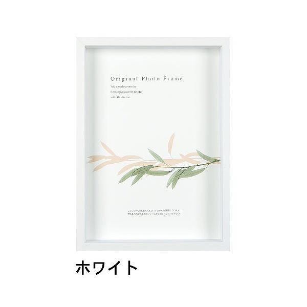 A[g{bNXt[(35mm) zCg A3TCY (297×420mm)  APJ A[gvgWp