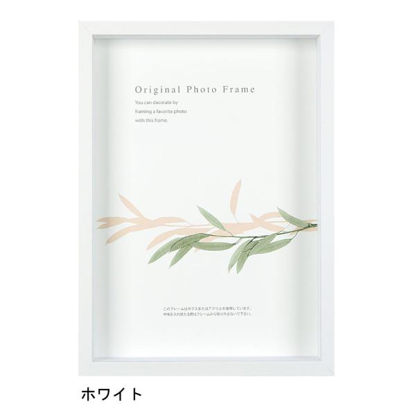 A[g{bNXt[(50mm) zCg ()TCY (394×509mm)  APJ A[gvgWp