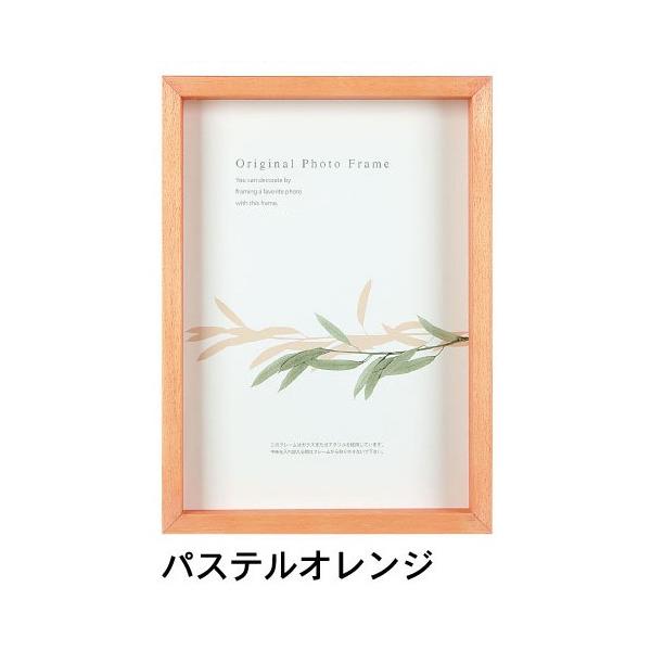 A[g{bNXt[(35mm) pXeIW qTCY (288×379mm)  APJ A[gvgWp