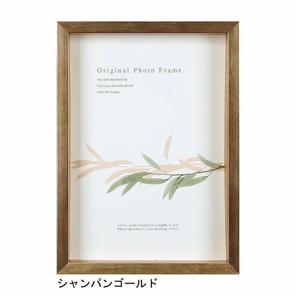 A[g{bNXt[(35mm) VpS[h B4TCY (257×364mm)  APJ A[gvgWp