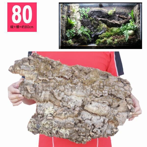 バージンコルク 80サイズ 縦 横 約80cm 無調整コルクシート コルクディスプレイ コルクボードコルクマット コルクタイル 天然コルク樫 樹皮 園芸 天然木 Buyee Buyee 提供一站式最全面最专业现地yahoo Japan拍卖代bid代拍代购服务 Bot Online