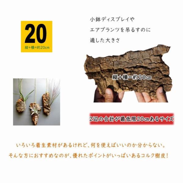 バージンコルク 周囲サイズ 縦 横 周囲約cm 無調整コルクシート コルクディスプレイ コルクボードコルクマット コルクタイル 天然コルク樫 樹皮 園芸 Buyee Buyee 日本の通販商品 オークションの代理入札 代理購入