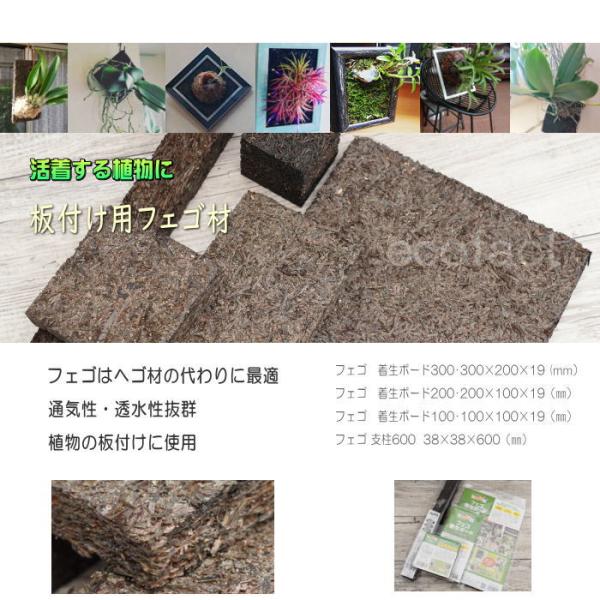�R�E�������� �t�� �r�J�N�V�_ �� �w�S��p�i �t�F�S �{�� �{�[�h100 ���� �{�� �m���� �G�A�v�����c �f���h���r���[�� �J�g���A  �Z�b�R�N �ϗt�A�� ���|���� ���i�摜1