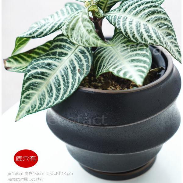 陶器鉢 植木鉢 ミニポット 底穴あり 皿付 ループ φ19cm プランター