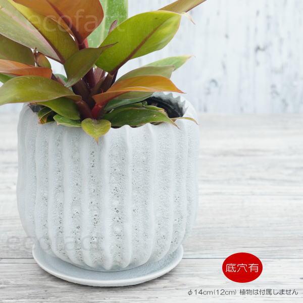 フラワーポット 植木鉢 おしゃれ 陶器鉢 ホワイト 白 メレンゲ φ14cm