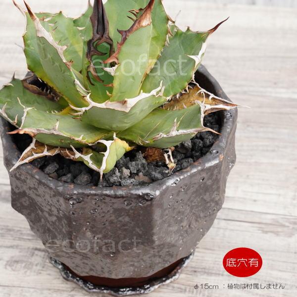 陶器鉢 植木鉢 カービングポット メタルM （焼鉄色 ）底穴あり 皿付