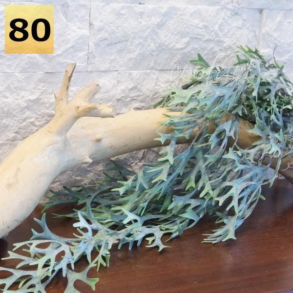 光触媒　人工観葉植物　ウォールグリーン　フェイクグリーン　壁掛けコウモリランL フェイクグリーン ハンギング 大型 壁掛け コウモリラン