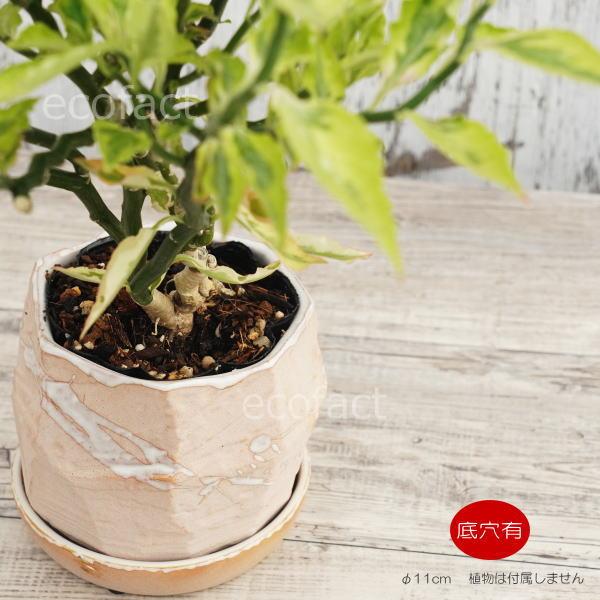 おしゃれ フラワーポット 陶器鉢 植木鉢 ミニポット 底穴あり カリグラフィ φ11cm プランター 園芸鉢 観葉植物 多肉植物 熱帯植物 アッシュグレイ