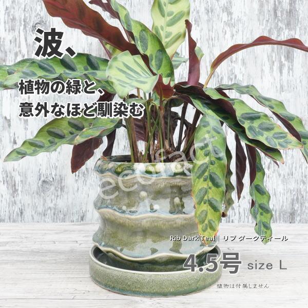 植木鉢 おしゃれ 陶器鉢 4.5号相当 波型 室内 受け皿あり 底穴あり リブ ダークティール  緑 モダン  園芸鉢 観葉植物 ガーデニング