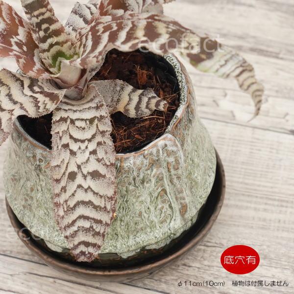 オリーブグリーン 花びら型鉢[1] 植木鉢 おしゃれ 陶器鉢 フラワーポット ミニポット 底穴あり ロック