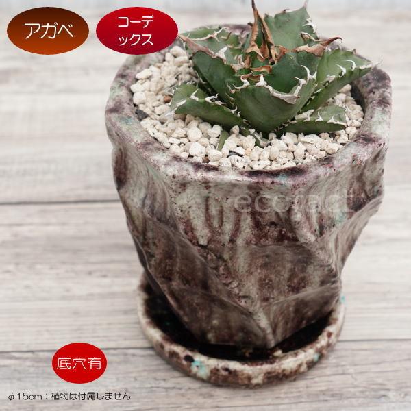 陶器鉢 植木鉢 ミニポット ミューズs F15cm おしゃれ かわいい プランター 園芸鉢 アッシュグレイ Y エリア27 通販 Yahoo ショッピング