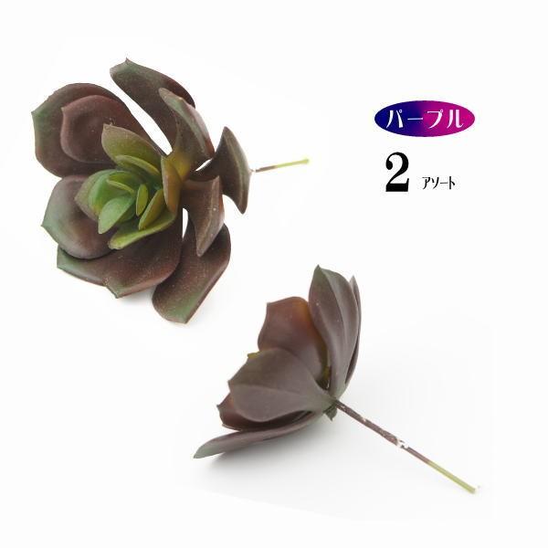 GPxAip[vj2A\[g AsbN@tFCNO[ AW lHϗtA  EH[A[g  ǖʗΉ pl Ǌ|