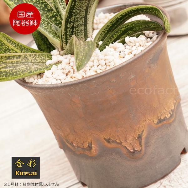 픫 Aؔ  3 bp^  S[h/ubN v^[ | ݎR My ϗtA AKx  򍪐A R[fbNX A |bg