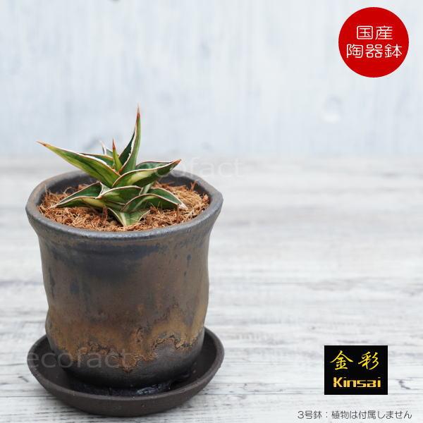 陶器鉢 植木鉢 3号 受皿付き 中深型 金彩 ゴールド/ブラック おしゃれ