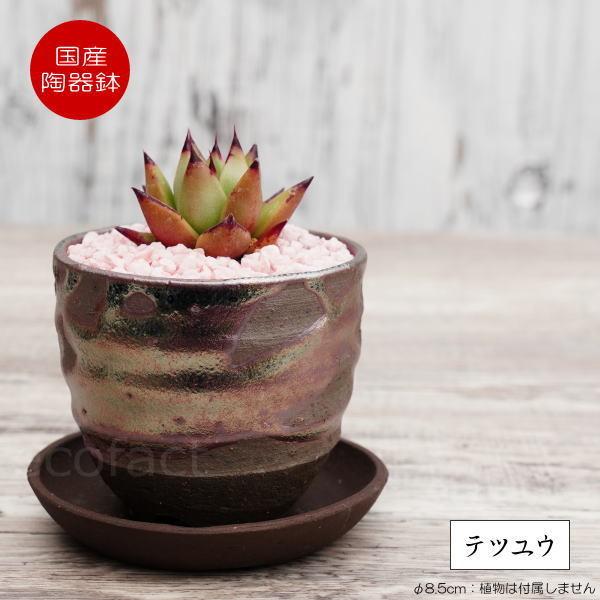 픫 Aؔ  ꌊ S֊ہiK^j8.5cm  Mt  v^[ | My ݎR R[fbNX 򍪐A