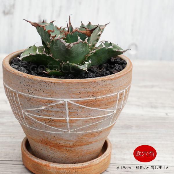 陶器鉢 植木鉢 ミニポット ミラベル 茶 マットブラウン F14 5cm おしゃれ かわいい プランター 園芸鉢 観葉植物 Y エリア27 通販 Yahoo ショッピング