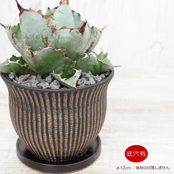 陶器鉢 植木鉢 ミニポット 底穴あり マングリッドM 黒金 マット
