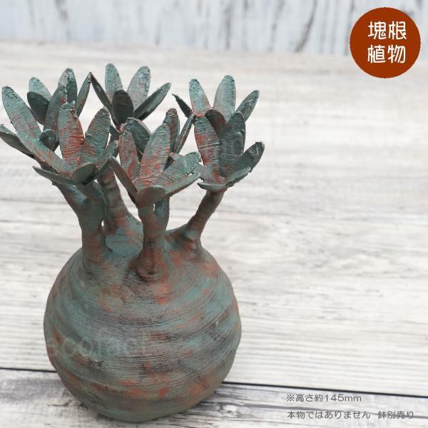 tFCNO[ 3D tBMA pL|fBE OLX  GCWO^ MTCY  lHϗtA 򍪐A R[fbNX A LOBINDON