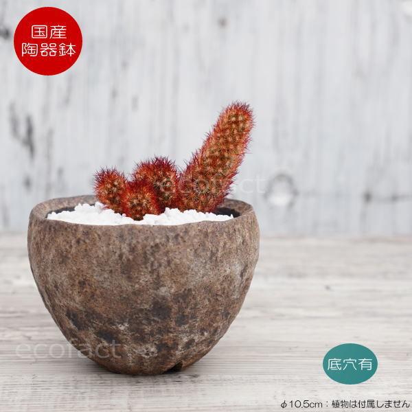 有田焼 植木鉢の人気商品・通販・価格比較 - 価格.com 有田焼 植木鉢の人気商品・通販・価格比較 - 価格.com