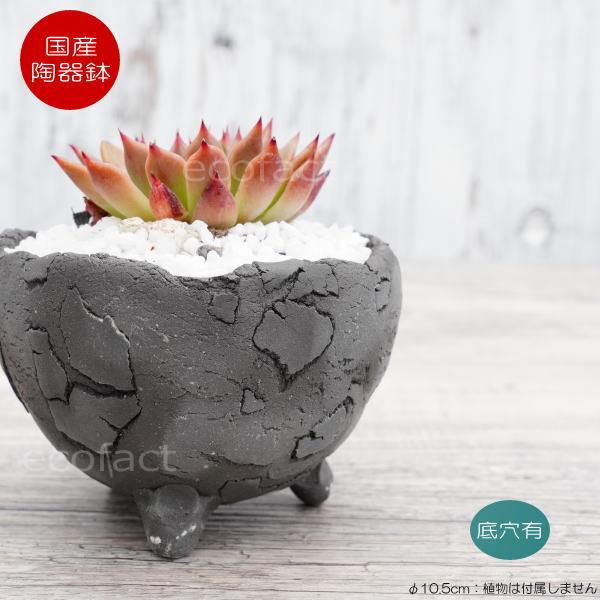 픫 Aؔ ~j|bg ꌊ BUNGA POT GbOiSj ubN 10.5cm  킢 v^[ q Lc | ϗtA