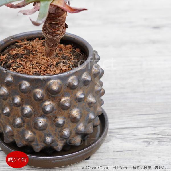陶器鉢 植木鉢 ミニポット 皿付 ソルトゲ ブロンズ F10cm 9cm プランター 園芸鉢 観葉植物 アガベ サボテン 塊根植物 コーデックス 多肉 植物 Y エリア27 通販 Yahoo ショッピング