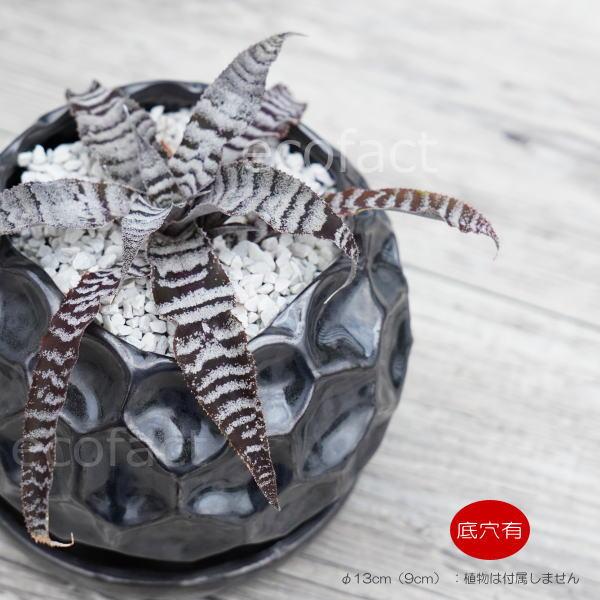 陶器鉢 植木鉢 ミニポット 皿付 ソルロックS メタル（焼鉄色 ） φ13cm