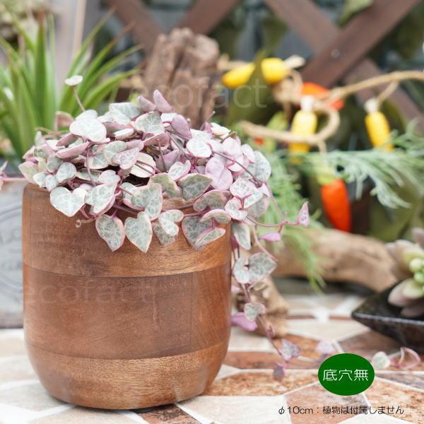 ブリックカップ SS 木製 鉢 鉢カバー 植木鉢 ミニポット 底穴無し