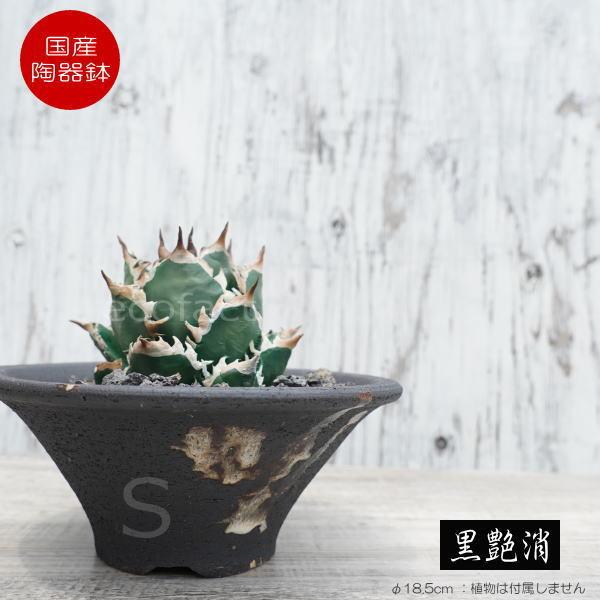 픫 Aؔ ꌊ S ubN  v^[ | My ݎR  ϗtA