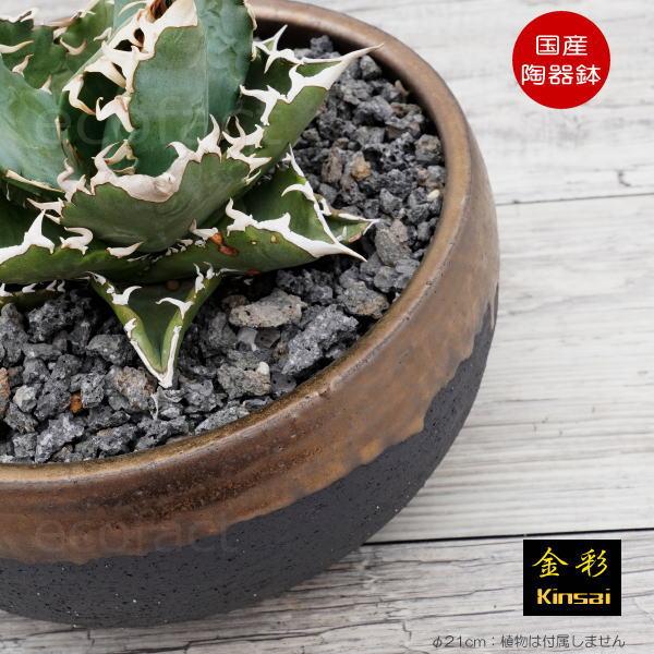 陶器鉢 植木鉢 底穴あり 丸浅（大）φ21cm 金彩 ブラック ゴールド 園芸