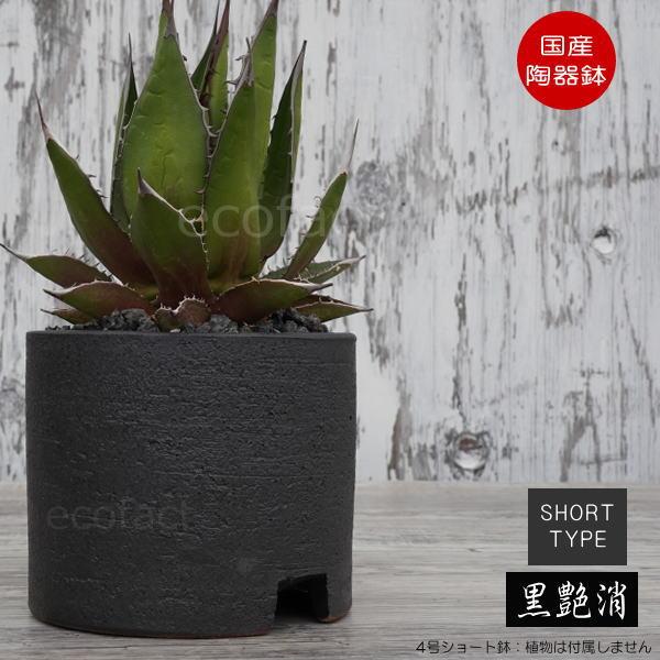 陶器鉢 陶器鉢 植木鉢 5.5号フチ 底穴あり 金彩 ブラック 園芸鉢 信楽焼 かみ