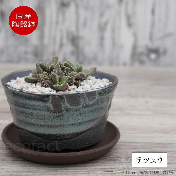 人間国宝 原清 鉄釉鳥文鉢 人間国宝を訪ねて⑩ 原