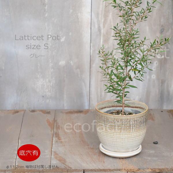 植木鉢 おしゃれ 陶器鉢 フラワーポット ミニポット 底穴あり Lattice S グレイ プランター 園芸鉢 観葉植物 オージープランツ